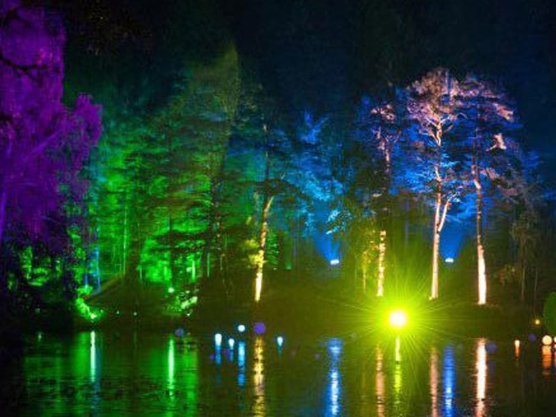 Local Events